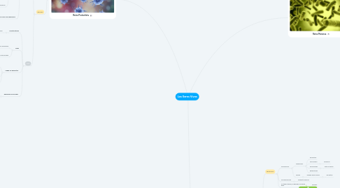 Mind Map: Los Seres Vivos