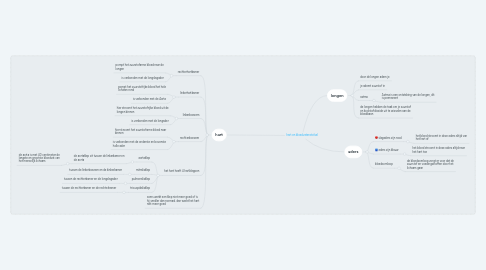 Mind Map: hart en bloedvatenstelsel
