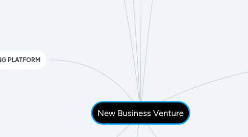 Mind Map: New Business Venture