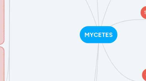 Mind Map: MYCETES