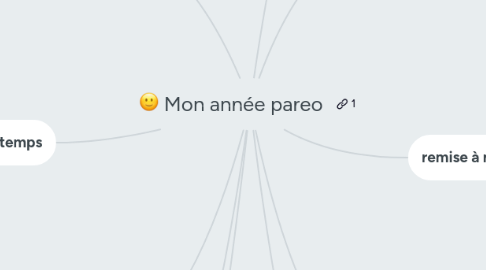 Mind Map: Mon année pareo