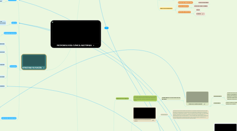 Mind Map: MICROBIOLOGÍA CLÍNICA. BACTERIAS.