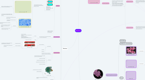 Mind Map: Bacterias