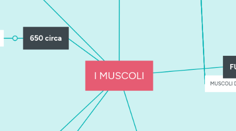 Mind Map: I MUSCOLI