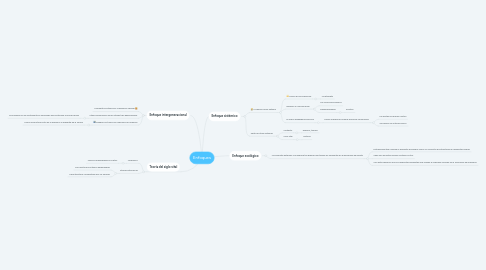 Mind Map: Enfoques