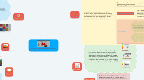 Mind Map: ELEMENTOS PARA UN DISEÑO CURRICULAR ¿Qué es y cómo funciona un currículo educativo?