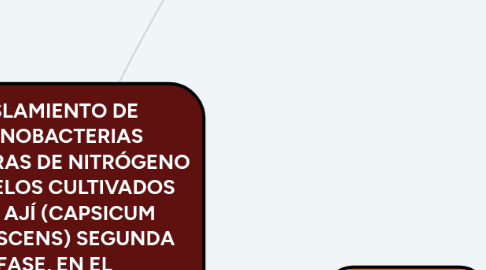 Mind Map: AISLAMIENTO DE CIANOBACTERIAS FIJADORAS DE NITRÓGENO EN SUELOS CULTIVADOS CON AJÍ (CAPSICUM FRUTESCENS) SEGUNDA FASE, EN EL DEPARTAMENTO DEL CESAR.