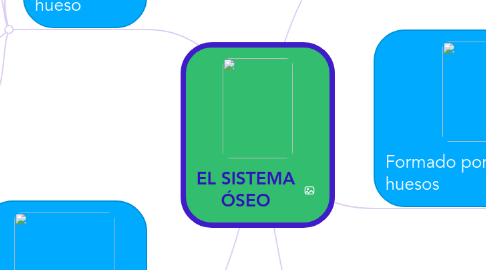 Mind Map: EL SISTEMA ÓSEO