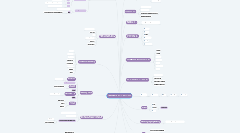 Mind Map: INFORMACIJSKI SUSTAVI