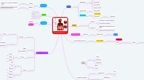 Mind Map: Sistema Endocrino