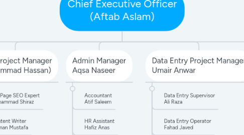 Mind Map: Chief Executive Officer (Aftab Aslam)