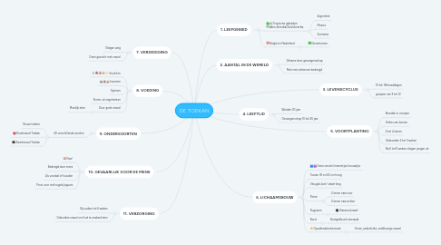 Mind Map: DE TOEKAN