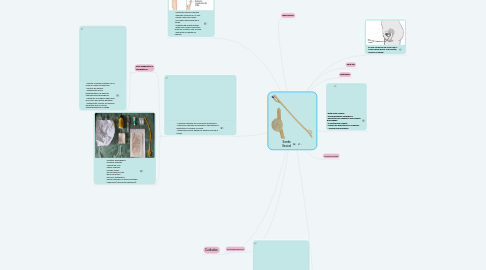 Mind Map: Sonda Vesical