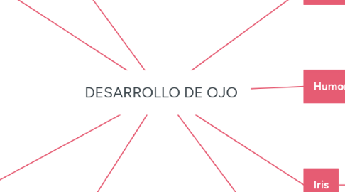 Mind Map: DESARROLLO DE OJO