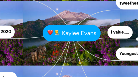 Mind Map: Kaylee Evans