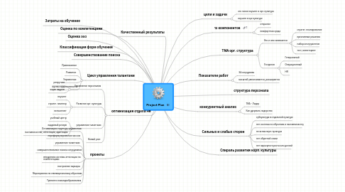 Mind Map: Project Plan