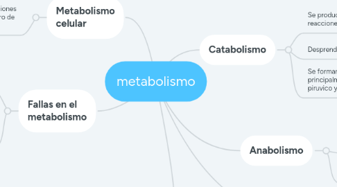 Mind Map: metabolismo