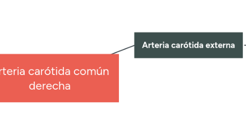 Mind Map: Arteria carótida común derecha