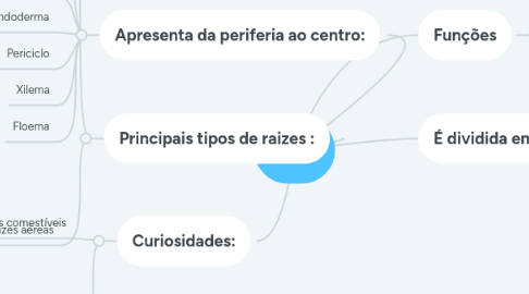 Mind Map: Raiz