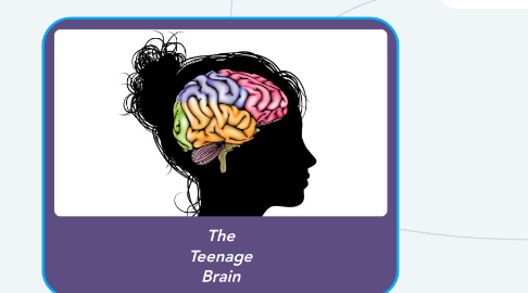 Mind Map: The Teenage Brain
