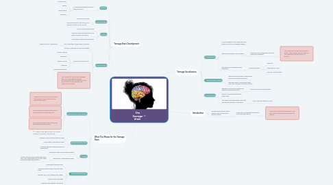 Mind Map: The Teenage Brain