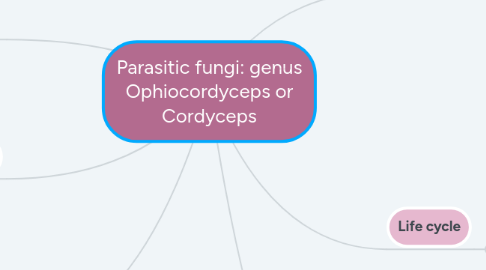 Mind Map: Parasitic fungi: genus Ophiocordyceps or Cordyceps