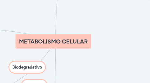 Mind Map: METABOLISMO CELULAR