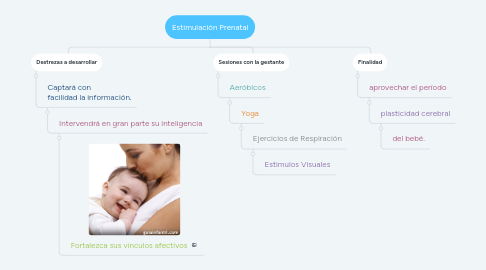 Mind Map: Estimulación Prenatal