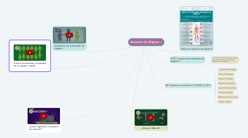 Mind Map: Donación de Órganos