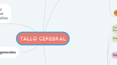 Mind Map: TALLO CEREBRAL