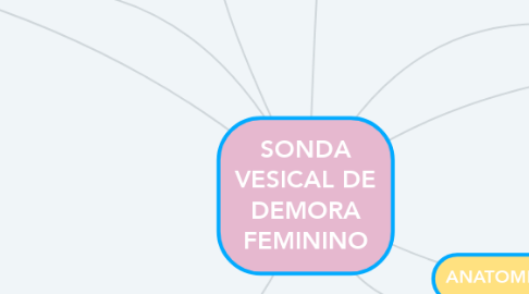 Mind Map: SONDA VESICAL DE DEMORA FEMININO