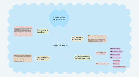 Mind Map: Inteligencia de Negocios