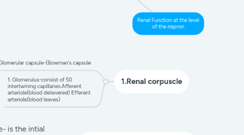 Mind Map: Renal Function at the level of the nepron