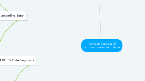 Mind Map: Transport activities of proximal convoluted tubule