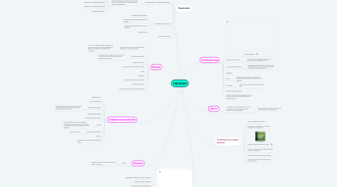 Mind Map: OBESIDAD