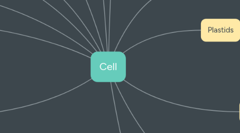 Mind Map: Cell