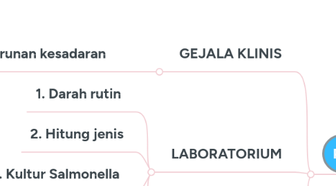 Mind Map: DEMAM TIFOID