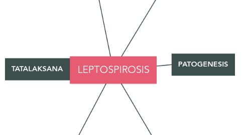 Mind Map: LEPTOSPIROSIS