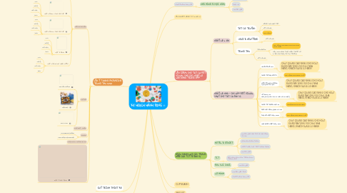 Mind Map: KẾ HOẠCH HÀNH ĐỘNG