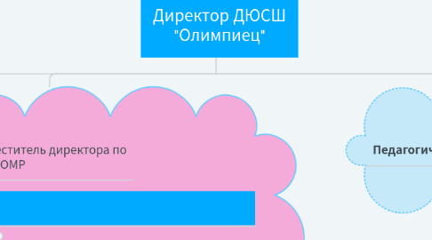 Mind Map: Директор ДЮСШ "Олимпиец"