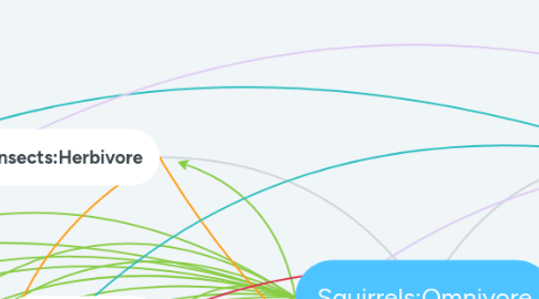 Mind Map: Squirrels:Omnivore