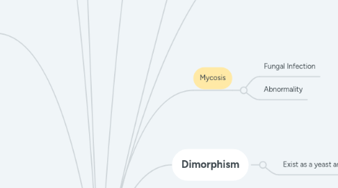 Mind Map: Fungi