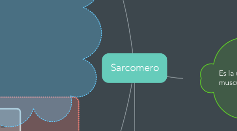 Mind Map: Sarcomero