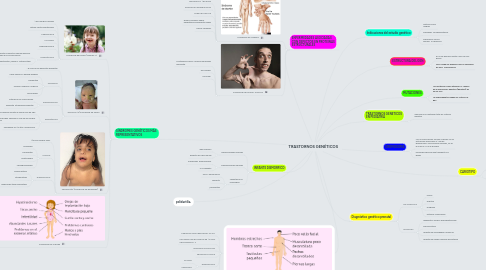 Mind Map: TRASTORNOS GENÉTICOS