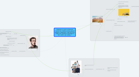 Mind Map: Finalement on peut se demander comment les réseaux sociaux peuvent améliorer l'expérience "road trip" d'une famille sans toutefois restreindre le libre arbitre des individus ?