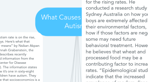 Mind Map: What Causes the rise in Autism?