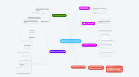 Mind Map: EJECUCIÓN DEL PROYECTO