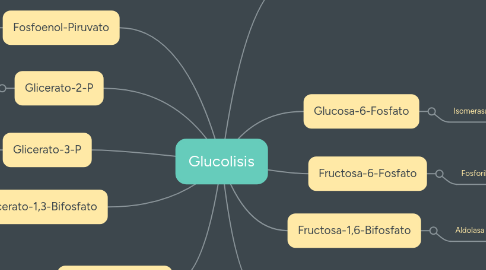 Mind Map: Glucolisis