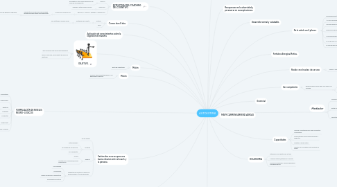 Mind Map: AUTOESTIMA