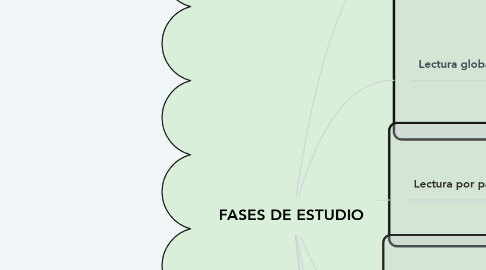 Mind Map: FASES DE ESTUDIO